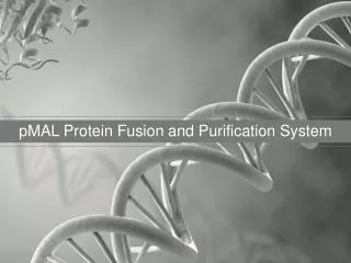 pMAL Protein Fusion and Purification System