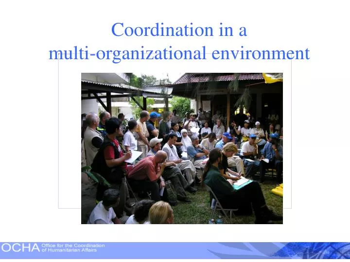 coordination in a multi organizational environment