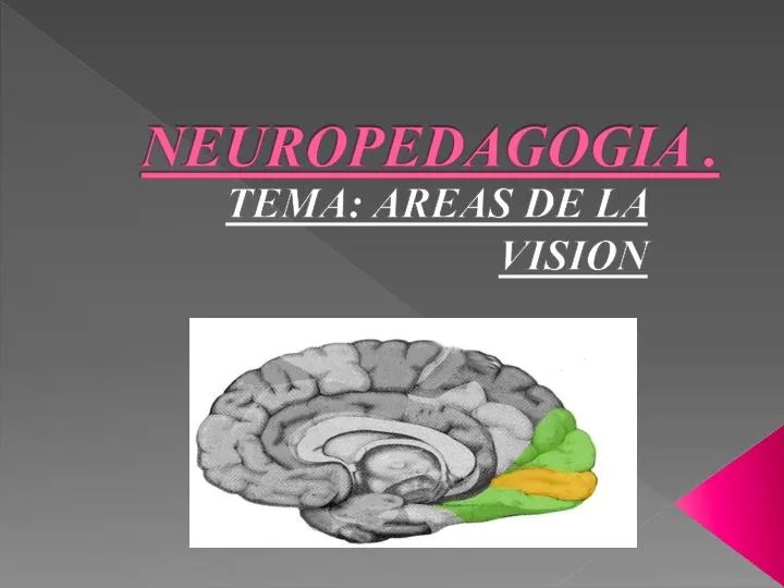 neuropedagogia