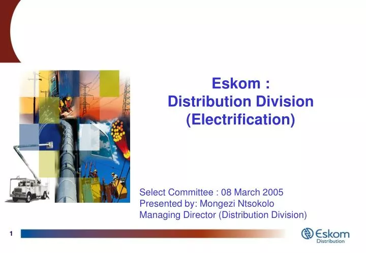 eskom distribution division electrification