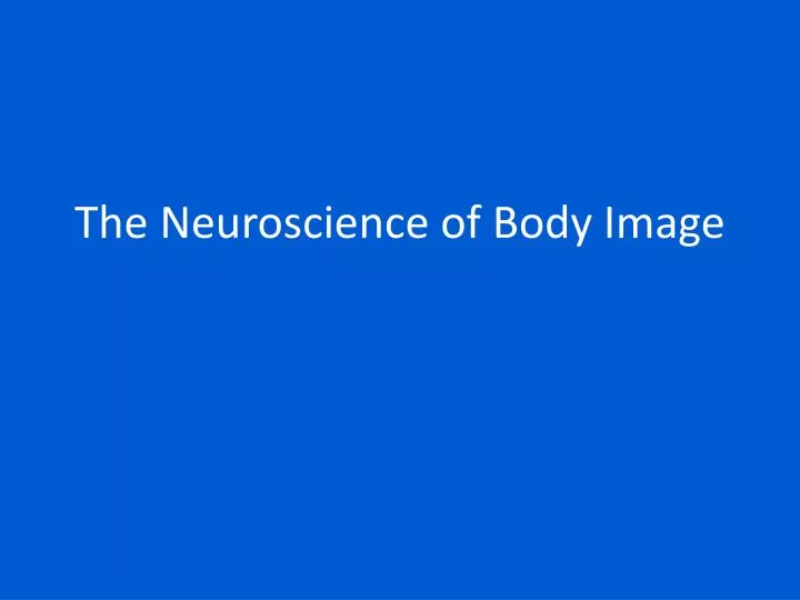 the neuroscience of body image