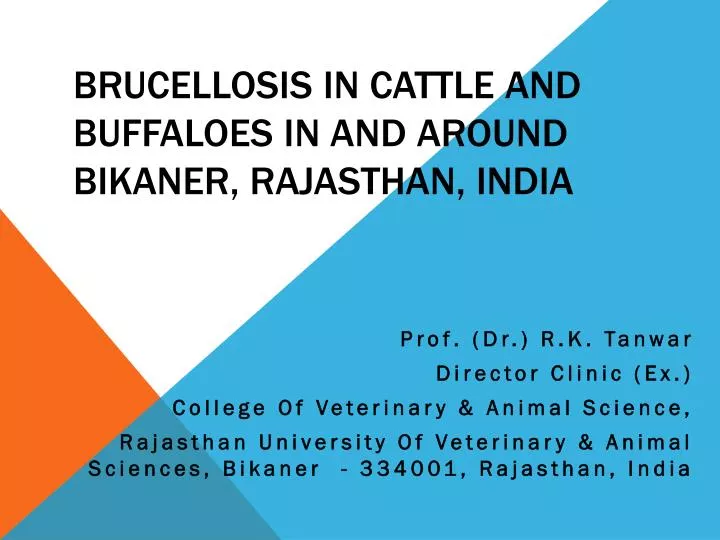 brucellosis in cattle and buffaloes in and around bikaner rajasthan india