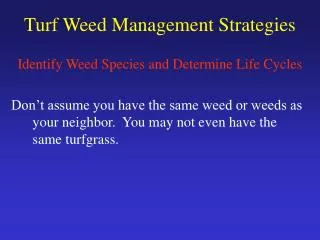 Turf Weed Management Strategies