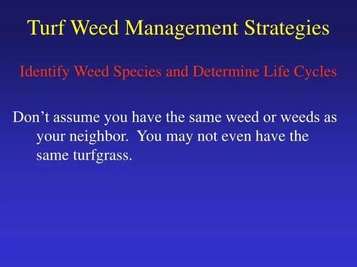 turf weed management strategies