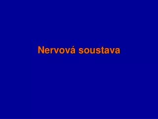 nervov soustava