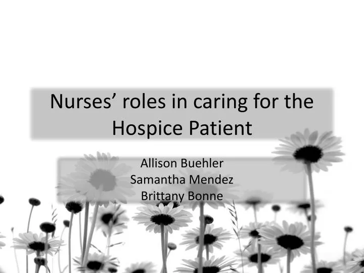nurses roles in caring for the hospice patient
