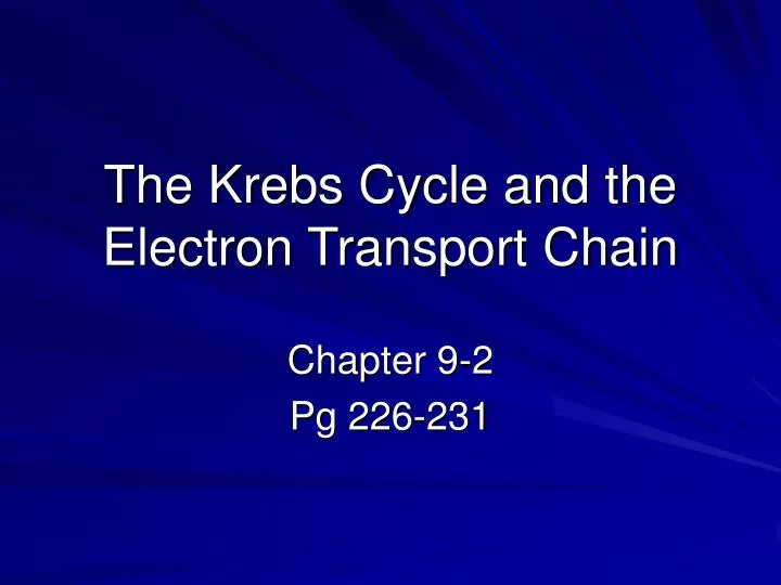 the krebs cycle and the electron transport chain