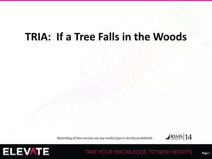 tria if a tree falls in the woods