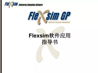 flexsim