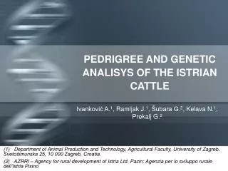 PEDRIGREE AND GENETIC ANALISYS OF THE ISTRIAN CATTLE