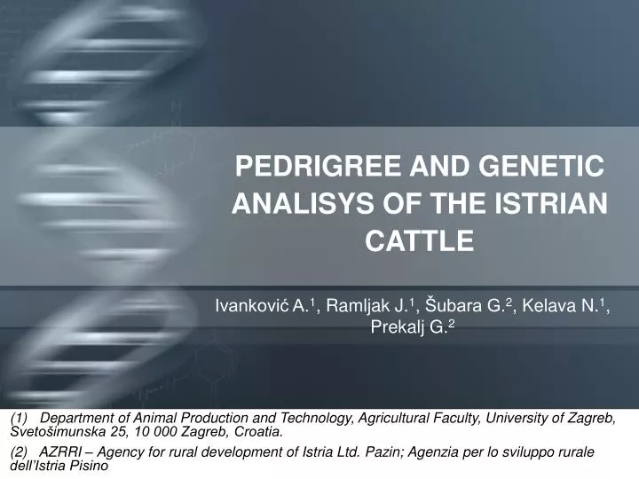 pedrigree and genetic analisys of the istrian cattle