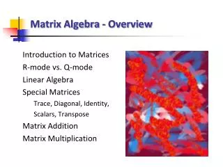 Matrix Algebra - Overview