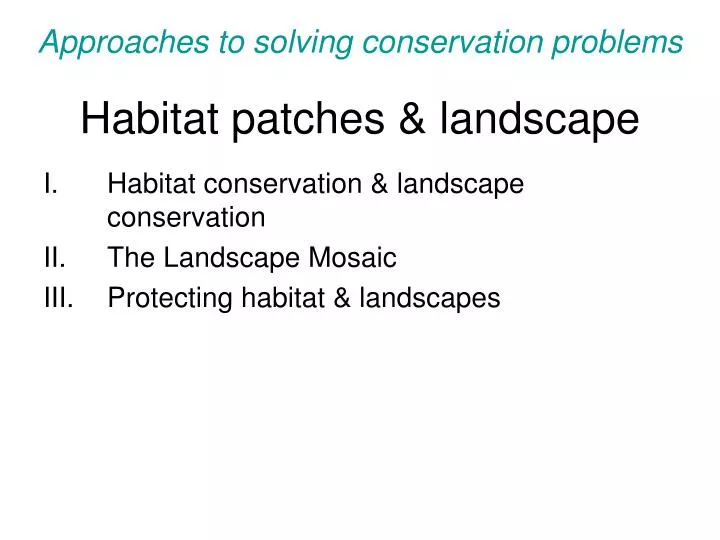 habitat patches landscape