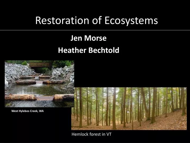 restoration of ecosystems