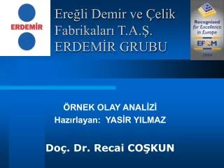 ere li demir ve elik fabrikalar t a erdem r grubu