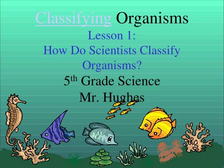 classifying organisms lesson 1 how do scientists classify organisms 5 th grade science mr hughes