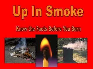 Know the Facts Before You Burn