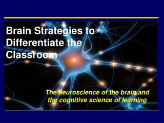 Brain Strategies to Differentiate the Classroom