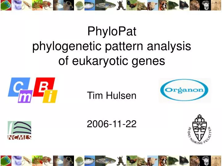 phylopat phylogenetic pattern analysis of eukaryotic genes