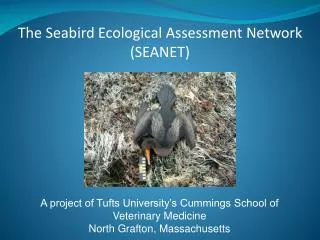 The Seabird Ecological Assessment Network (SEANET)