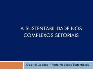 a sustentabilidade nos complexos setoriais