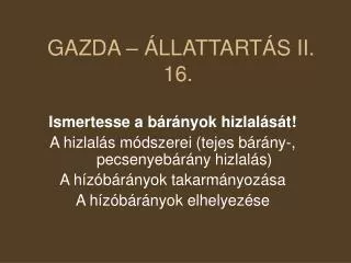 gazda llattart s ii 16