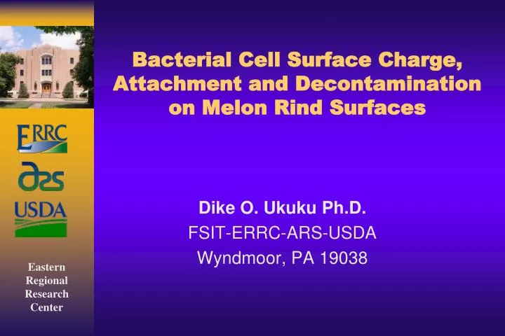 bacterial cell surface charge attachment and decontamination on melon rind surfaces