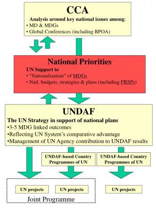 CCA Analysis around key national issues among : MD &amp; MDGs Global Conferences (including BPOA)