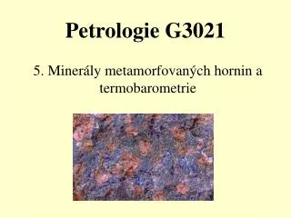 5 miner ly metamorfovan ch hornin a termobarometrie