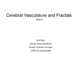 Cerebral Vasculature and Fractals