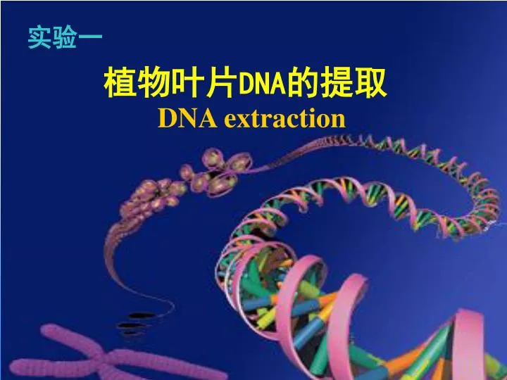 dna dna extraction