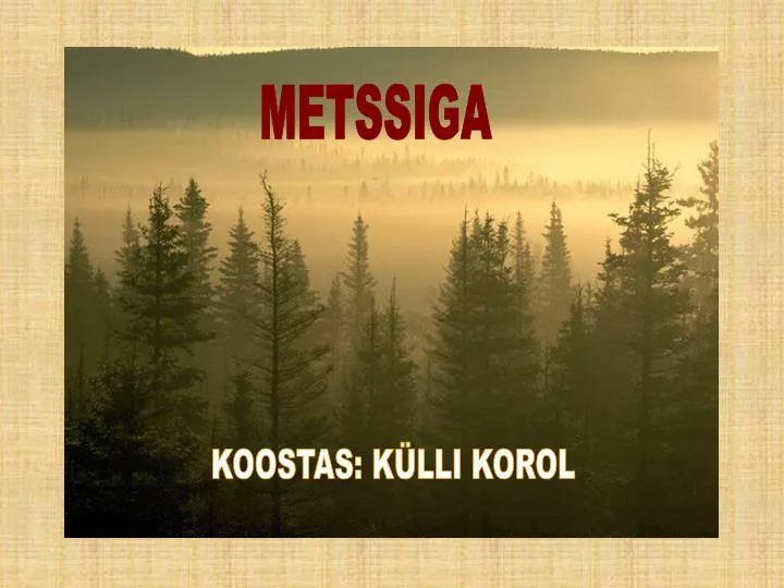 metssiga