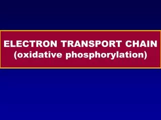 ELECTRON TRANSPORT CHAIN (oxidative phosphorylation)