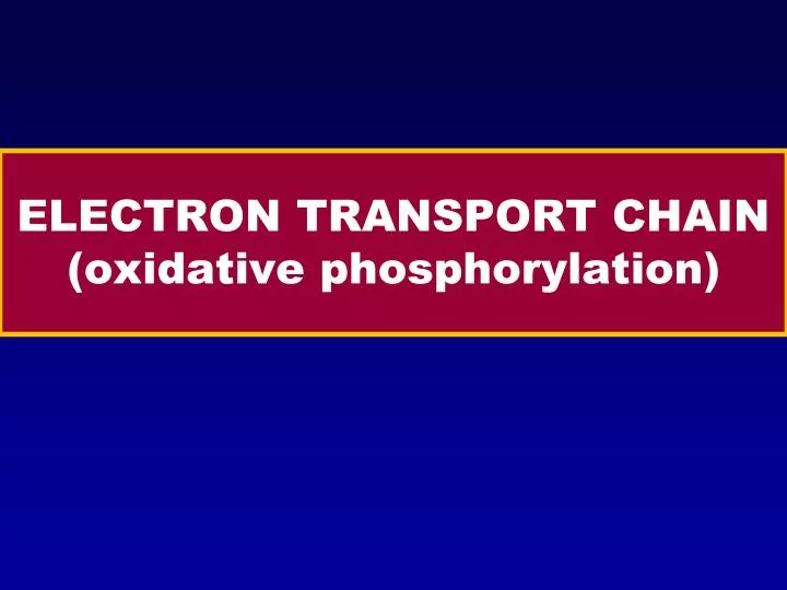 electron transport chain oxidative phosphorylation