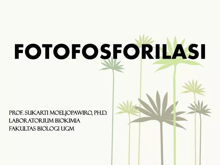 fotofosforilasi