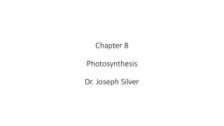 Chapter 8 Photosynthesis Dr. Joseph Silver