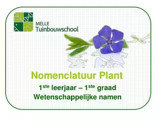 Nomenclatuur Plant