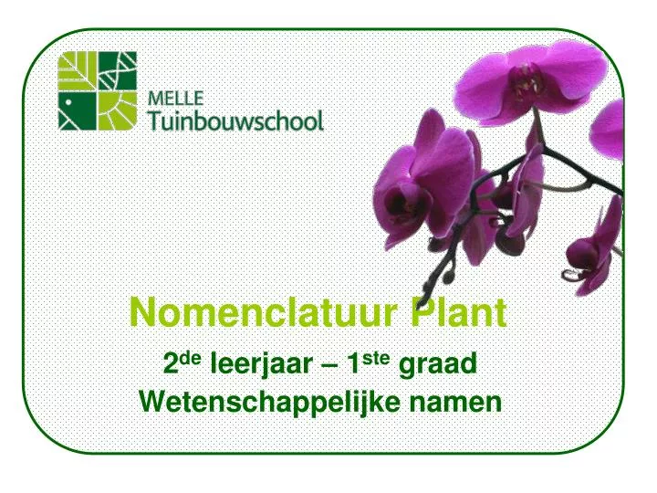 nomenclatuur plant