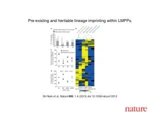 SH Naik et al. Nature 000 , 1-4 (2013) doi:10.1038/nature12013