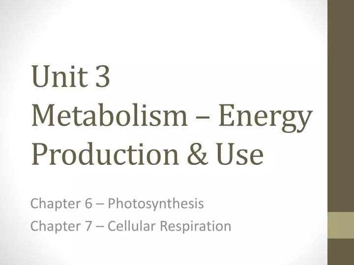 unit 3 metabolism energy production use