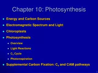 Chapter 10: Photosynthesis