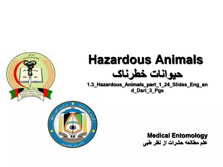 hazardous animals 1 3 hazardous animals part 1 24 slides eng and dari 3 pgs
