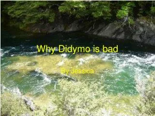 Why Didymo is bad