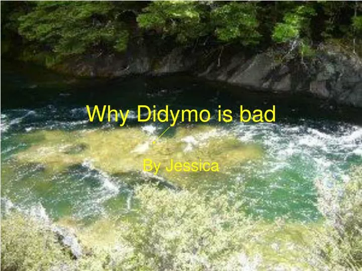 why didymo is bad