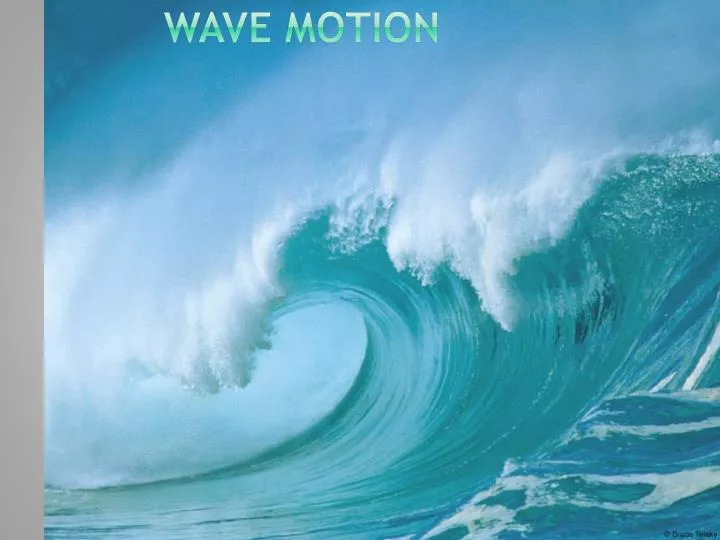 wave motion