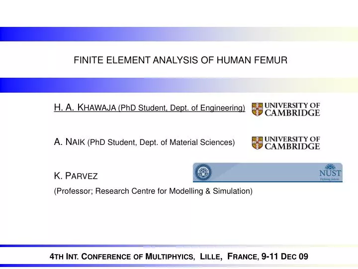 finite element analysis of human femur