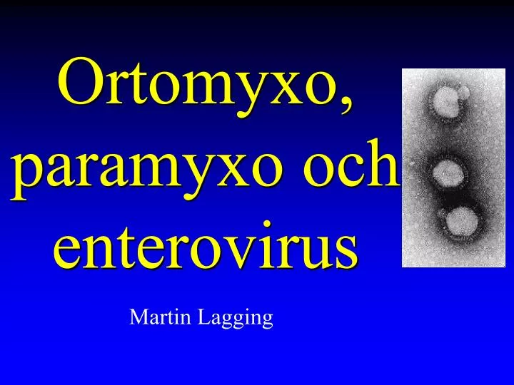 ortomyxo paramyxo och enterovirus