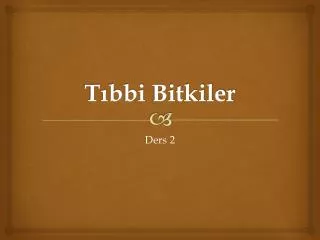 t bbi bitkiler