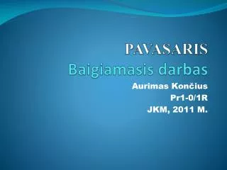 pavasaris baigiamasis darbas