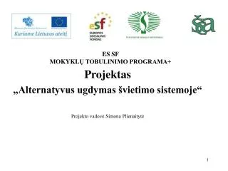 es sf mokykl tobulinimo programa